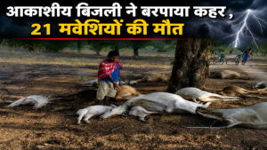 Chhattisgarh News