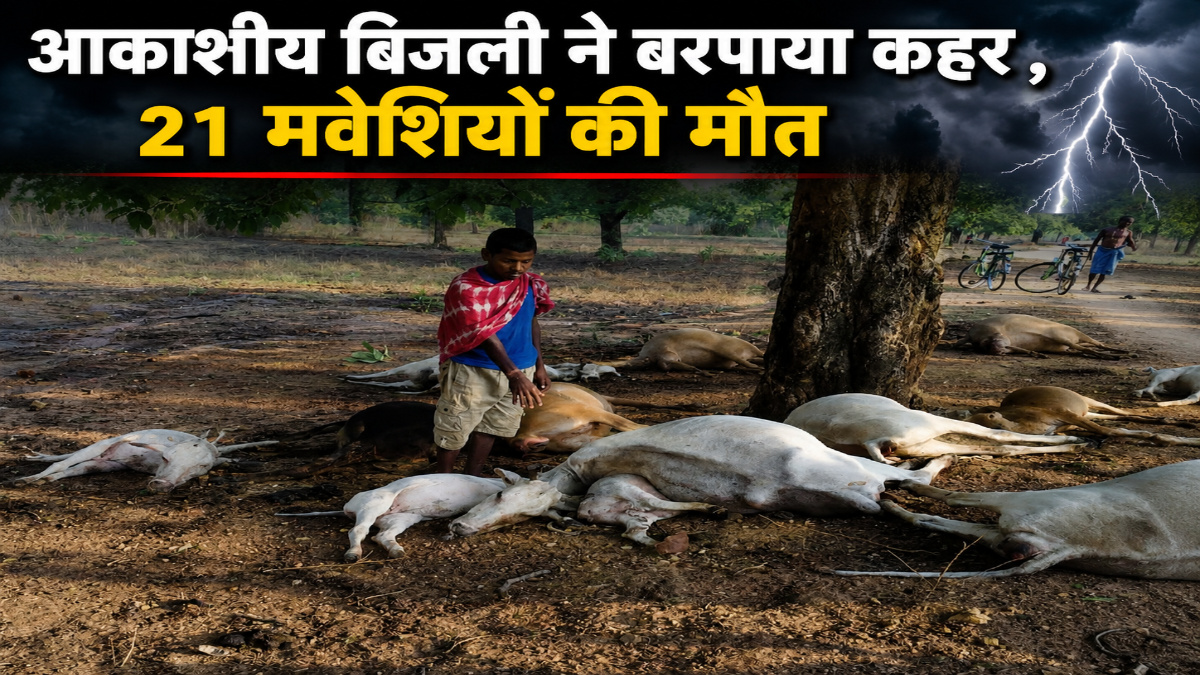 Chhattisgarh News