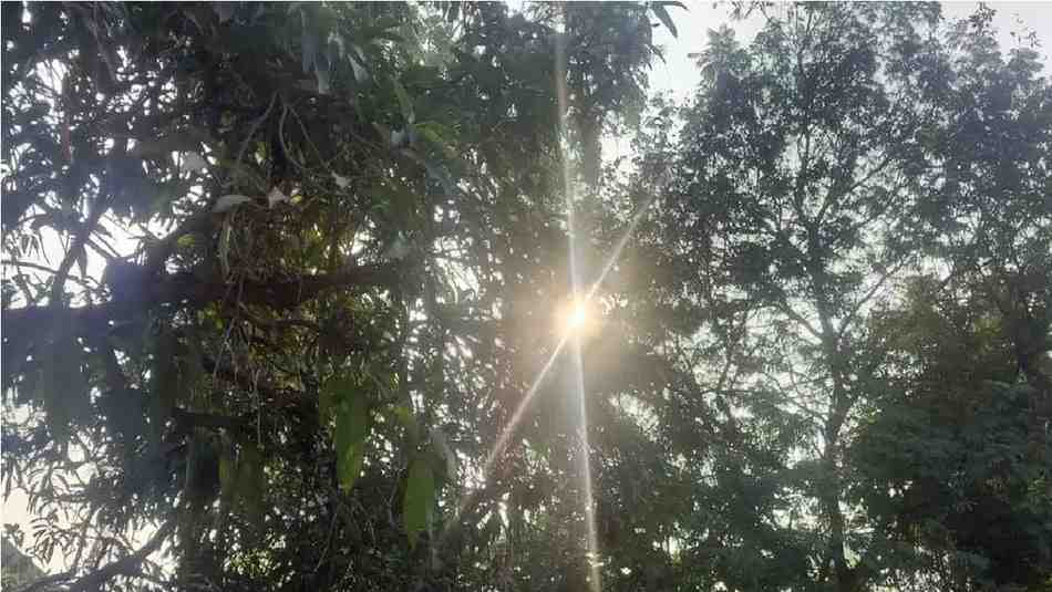 Raipur Weather Update