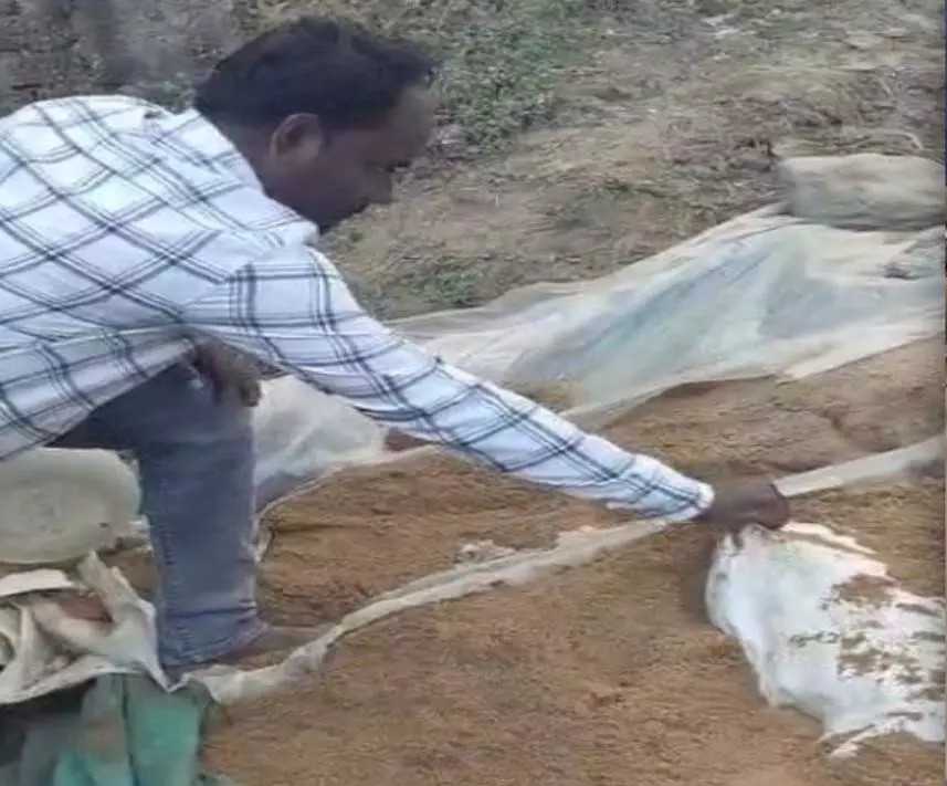 Avaidh Sharaab Network