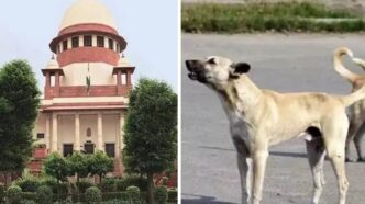 Supreme Court Order