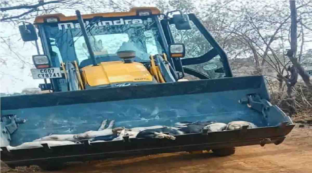 CG Animal Husbandry Department