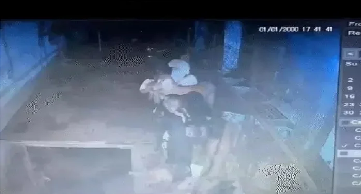 Chhattisgarh Crime News