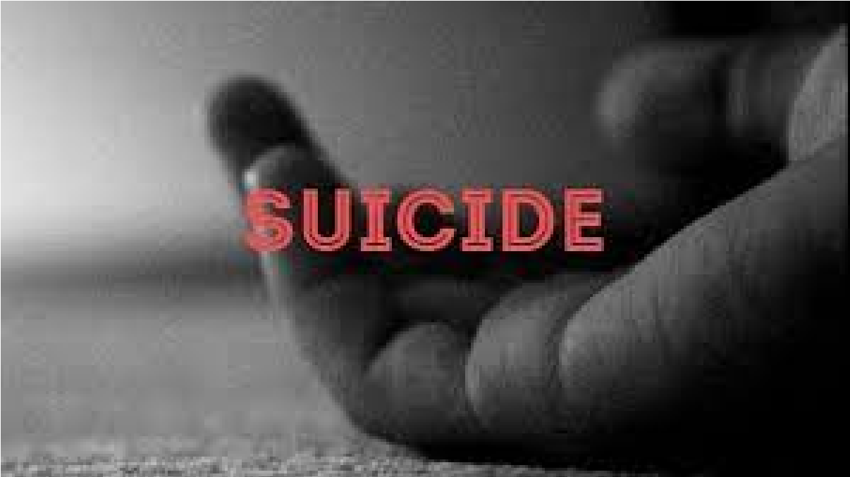 Suicide News